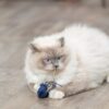 Trixie zeedier pluche met catnip assorti - Afbeelding 2