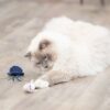 Trixie zeedier pluche met catnip assorti - Afbeelding 4