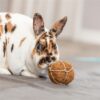 Trixie kokosbal - Afbeelding 3