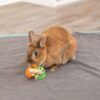 Trixie ringen van maislies - Afbeelding 3