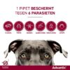 Elanco advantix spot on - Afbeelding 2