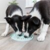Huisdieren.nl puppypakket - Afbeelding 3