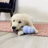 Kong ziggies enhanced puppy - Afbeelding 7