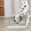 Trixie dog activity skills loop kunststof / metaal - Afbeelding 3