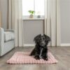 Trixie ligmat lonni ribfluweel roze - Afbeelding 6