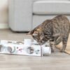 Trixie cat activity paws'n'treats box karton - Afbeelding 6