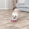 Trixie cat activity hide'n'sniff bowl kunststof - Afbeelding 4