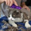Kong zoomgroom paars - Afbeelding 4