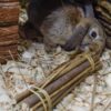 Happy pet wilgen value pack 2 sticks / 2 ballen - Afbeelding 2