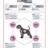 Advance veterinary diet dog gevoelige huid medium / maxi - Afbeelding 3