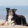 Trixie ice pop groen - Afbeelding 8