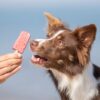 Trixie ice pop groen - Afbeelding 9