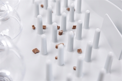 Trixie cat activity fun bord - Afbeelding 5