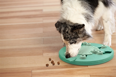 Nina ottosson dog worker composiet - Afbeelding 5