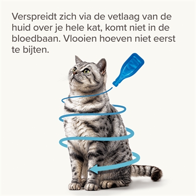 Beaphar fiprotec kat tegen vlooien & teken - Afbeelding 7