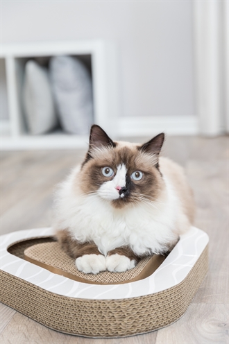 Trixie krabplank karton met 2 ballen - Afbeelding 5