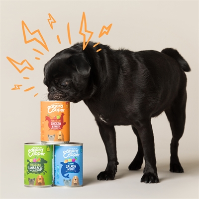 Edgard & cooper kip / kalkoen blik graanvrij - Afbeelding 3