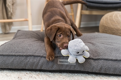 Trixie octopus omkeerbaar pluche grijs / geel - Afbeelding 10