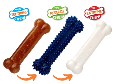 Nylabone puppy chew puppy starter kit chicken - Afbeelding 2