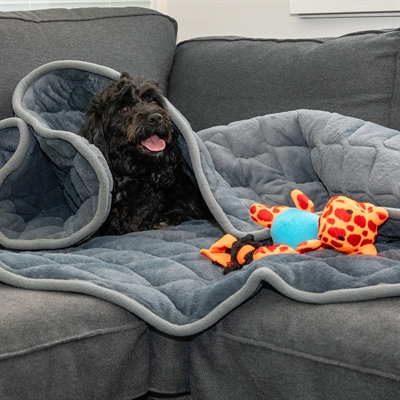 Kong kalmerende verzwaringsdeken - Afbeelding 4