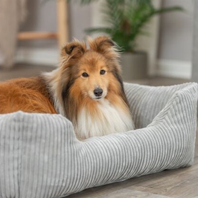 Trixie hondenmand vital jonna ribfluweel grijs - Afbeelding 5