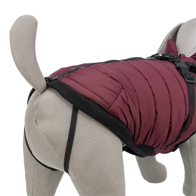 Trixie hondenjas pirou met tuig sangria - Afbeelding 5