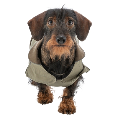 Trixie hondenjas hermy olijfgroen - Afbeelding 9