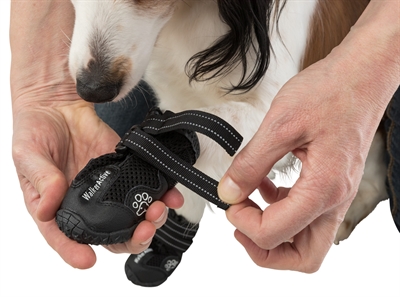 Trixie pootbescherming walker active zwart - Afbeelding 7