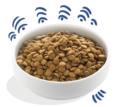 Edgard & cooper adult verse noorse zalm graanvrij - Afbeelding 2