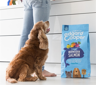 Edgard & cooper adult verse noorse zalm graanvrij - Afbeelding 3