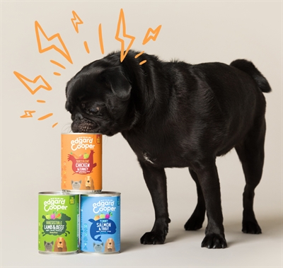 Edgard & cooper lam / rund blik graanvrij - Afbeelding 3