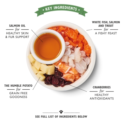 Lily's kitchen cat fisherman's feast fish - Afbeelding 3