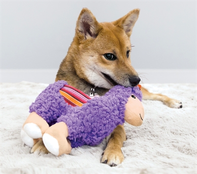 Kong sherps lama - Afbeelding 2