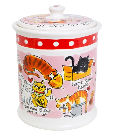 Blond amsterdam voorraadpot kat - Afbeelding 4