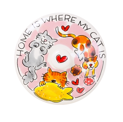 Blond amsterdam voorraadpot kat - Afbeelding 5