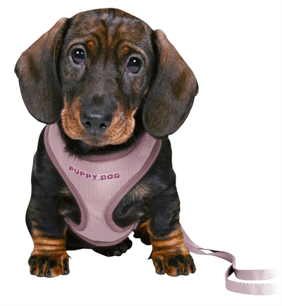 Trixie junior puppytuig soft met riem lila - Afbeelding 2