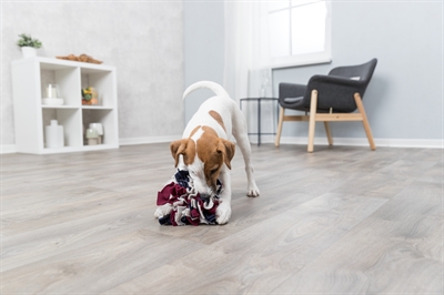 Trixie dog activity snuffelbal - Afbeelding 6