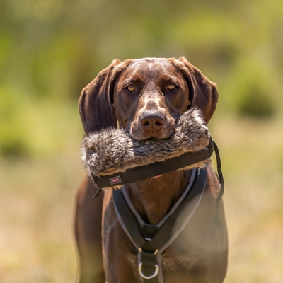 Trixie snackdummy kunstvacht - Afbeelding 3