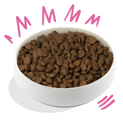 Edgard & cooper hond adult plantaardig rode biet / pompoen - Afbeelding 2