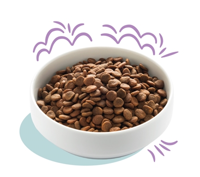 Edgard & cooper puppy verse zalm / kalkoen graanvrij - Afbeelding 2