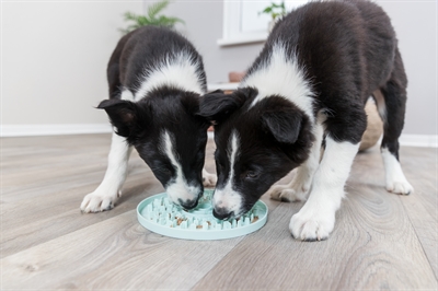 Trixie junior likplaat mintgroen - Afbeelding 3