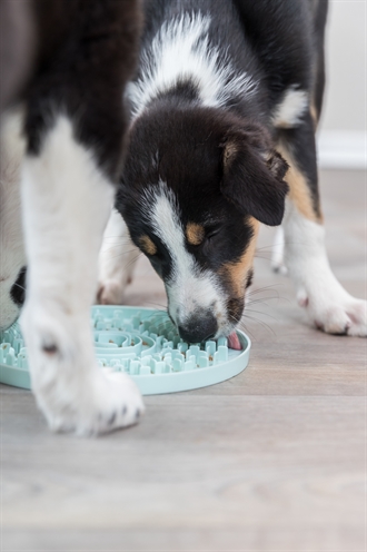 Trixie junior likplaat mintgroen - Afbeelding 4