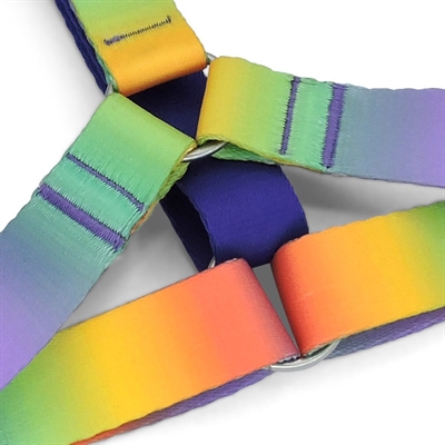 Morso hondentuig h-tuig gerecycled spring blossom - Afbeelding 7