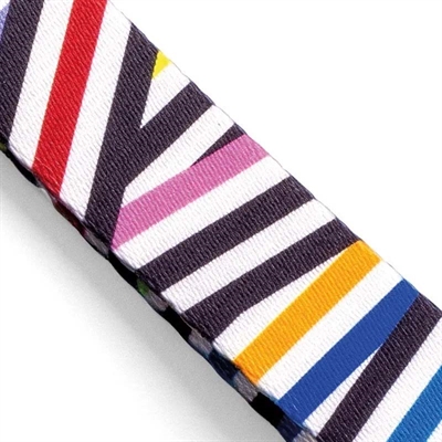 Morso hondenriem gerecycled spaghetti incident - Afbeelding 3