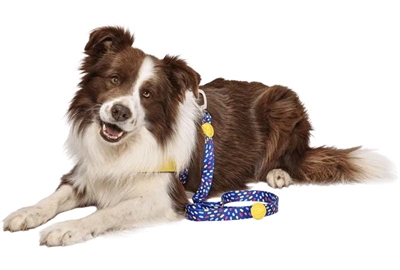 Morso hondenriem gerecycled color invaders paars - Afbeelding 3