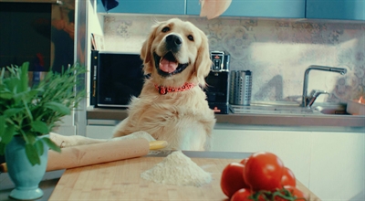 Morso halsband hond gerecycled bubble leo roze - Afbeelding 4