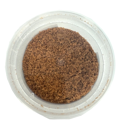 Dierendrogist krill - Afbeelding 2