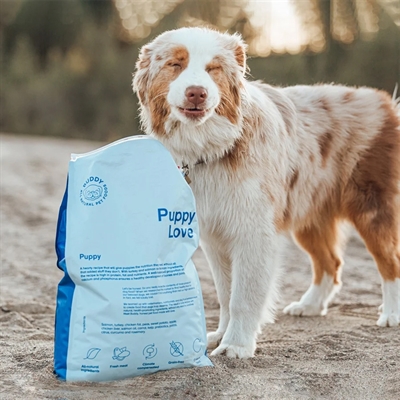 Buddy puppy love - Afbeelding 2