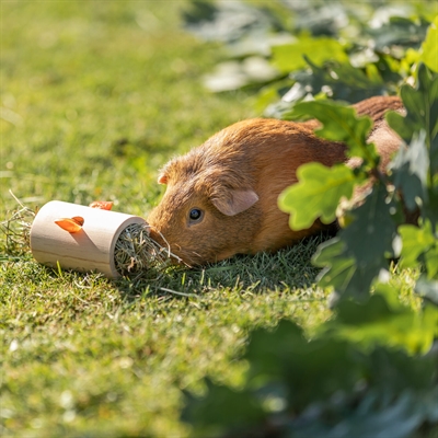 Trixie snack roll hout onbehandeld - Afbeelding 7
