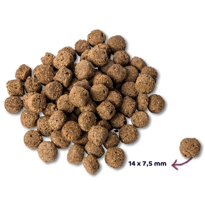 Renske super premium adult oceaanvis hypoallergeen - Afbeelding 2